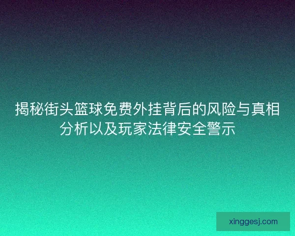 揭秘街头篮球免费外挂背后的风险与真相分析以及玩家法律安全警示