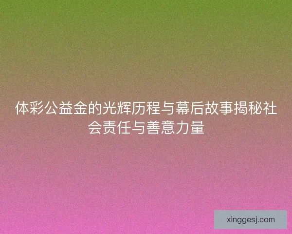 体彩公益金的光辉历程与幕后故事揭秘社会责任与善意力量