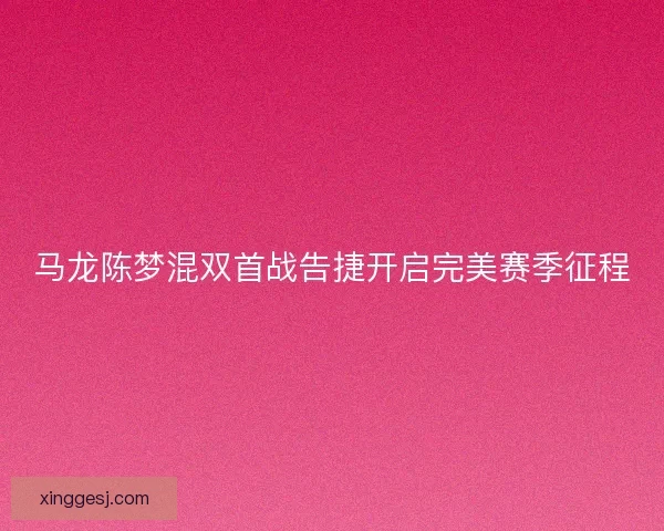 马龙陈梦混双首战告捷开启完美赛季征程