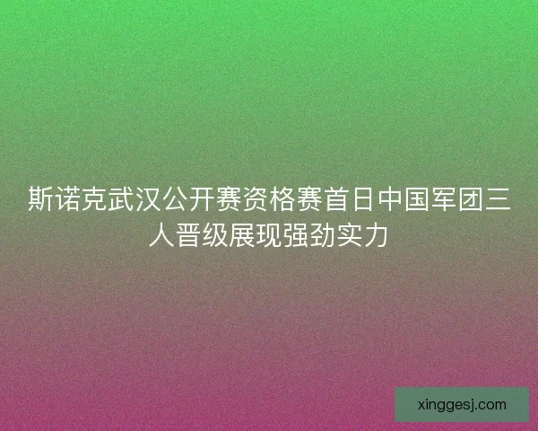 斯诺克武汉公开赛资格赛首日中国军团三人晋级展现强劲实力 斯诺克武汉公开赛资格赛首日中国军团三人晋级展现强劲实力