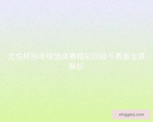 尤伯杯羽毛球团体赛精彩回顾与赛事全景解析