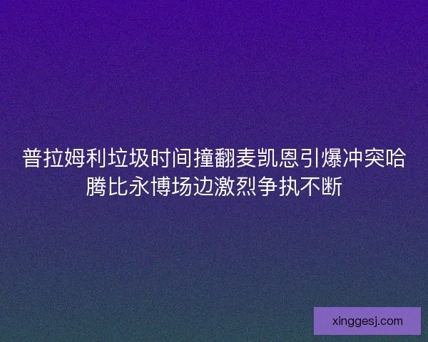 普拉姆利垃圾时间撞翻麦凯恩引爆冲突哈腾比永博场边激烈争执不断